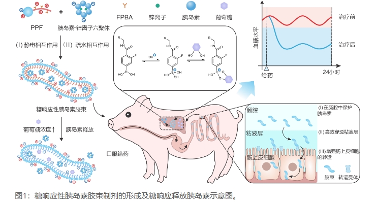 微信截图_20240903163713.png