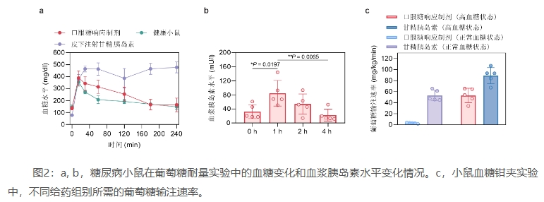 微信截图_20240903163731.png