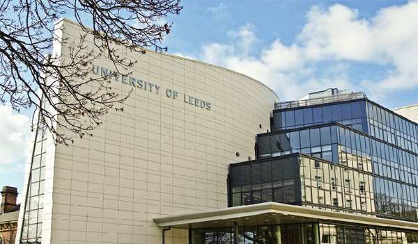 1769755143125099.png 1769755143125099.png